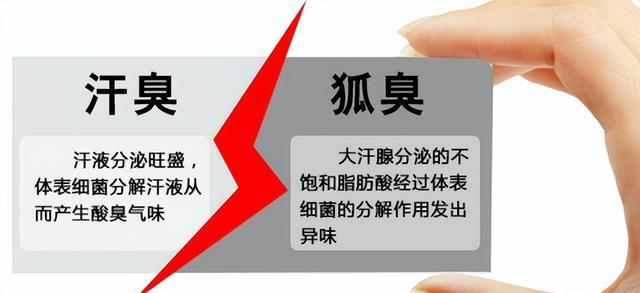 关于狐臭的那些事,你知道多少?中国人基因突变,所以很少有狐臭