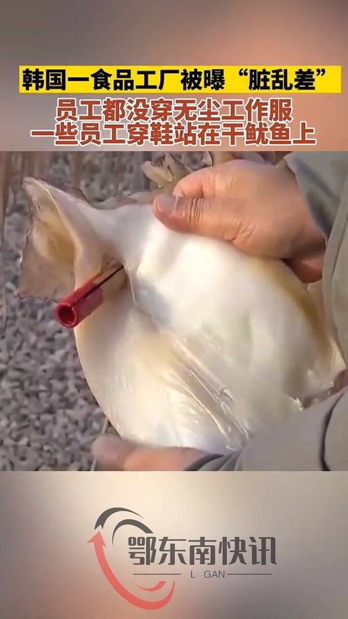 韩国一食品厂鱿鱼干被员工穿着鞋踩